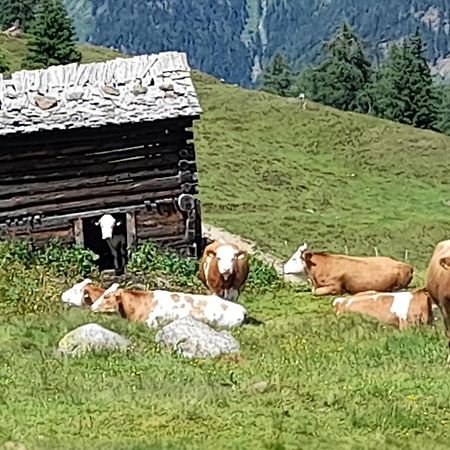 Ferienhaus Grofn Matrei in Osttirol Dış mekan fotoğraf