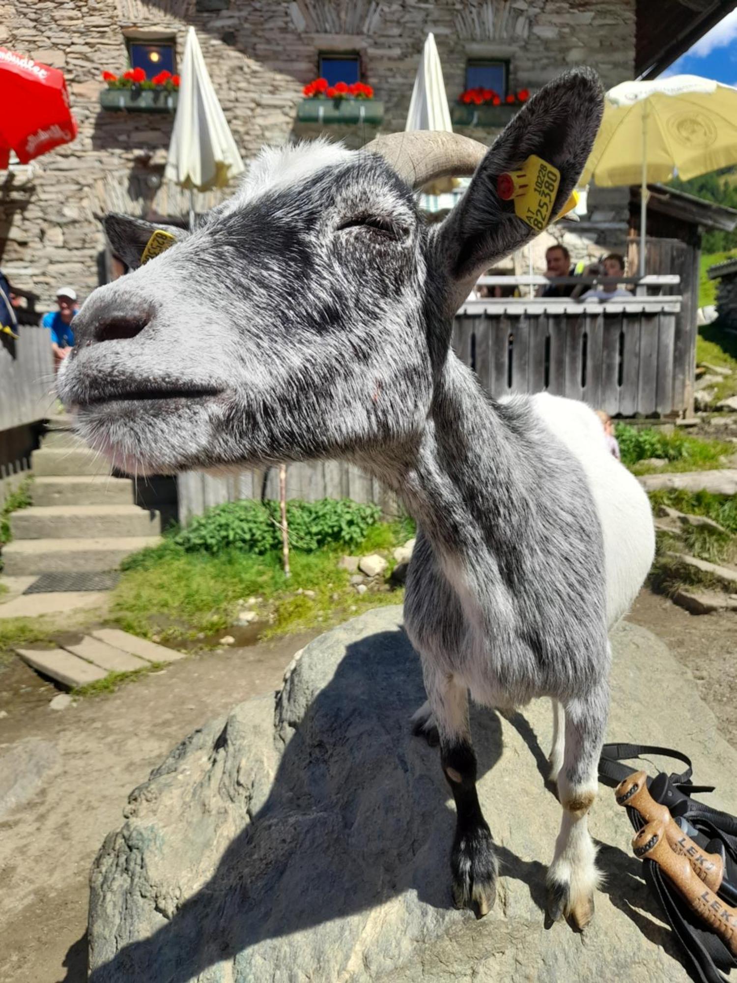 Ferienhaus Grofn Matrei in Osttirol Dış mekan fotoğraf