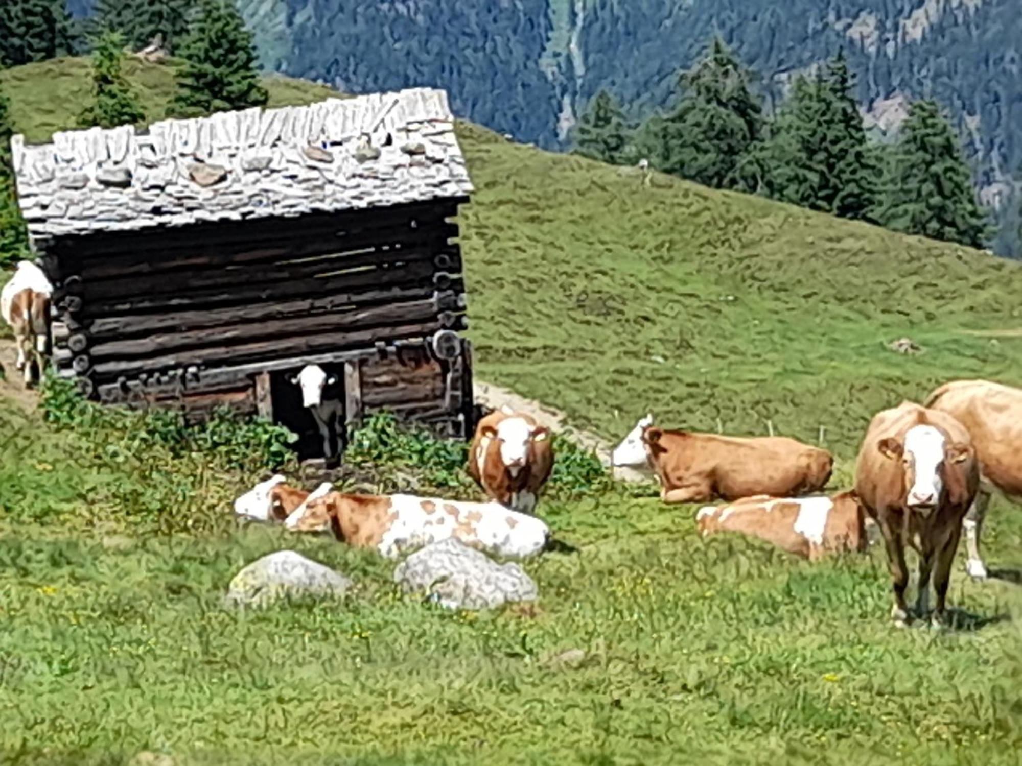 Ferienhaus Grofn Matrei in Osttirol Dış mekan fotoğraf